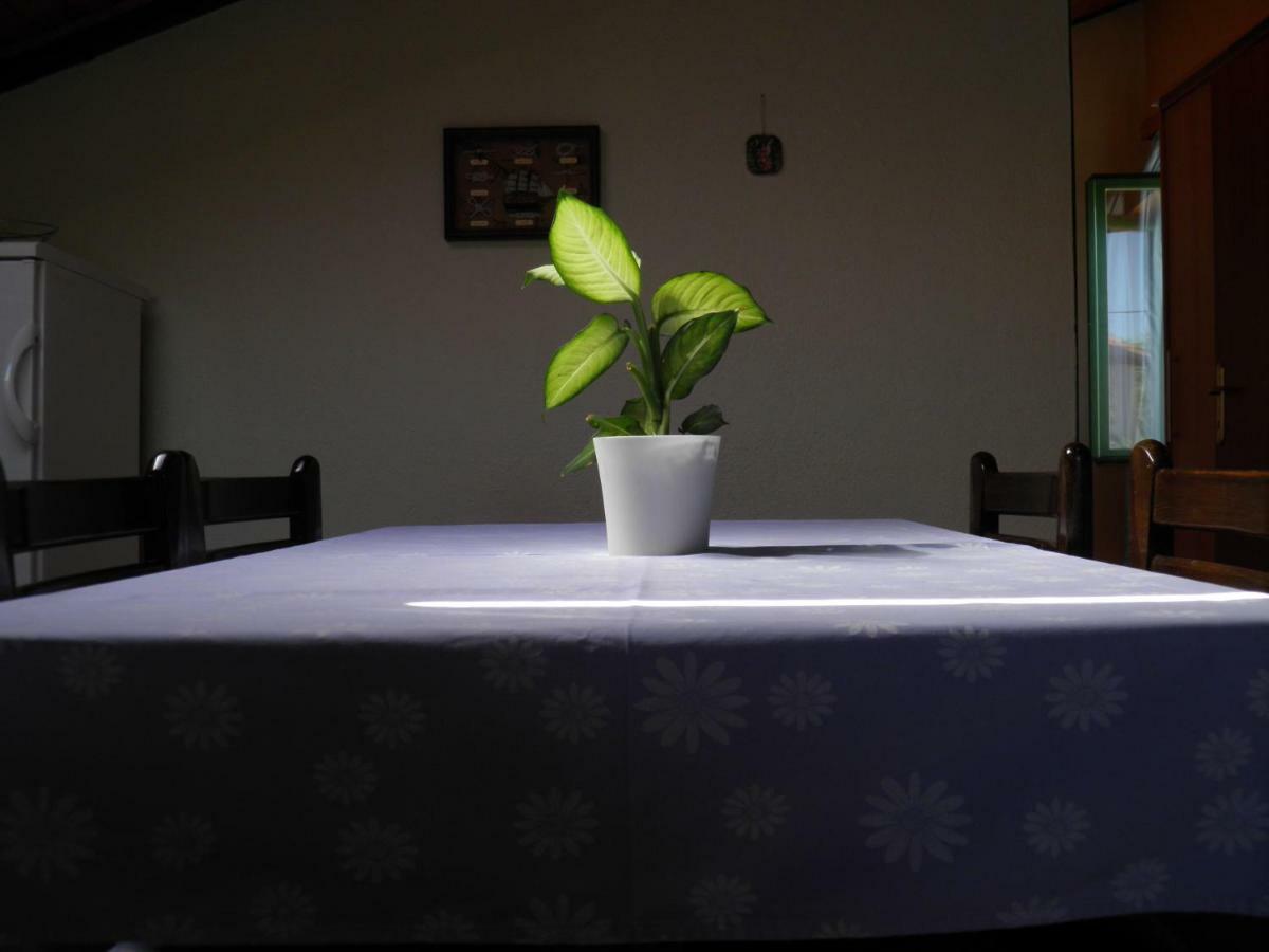 Apartman Mia Biograd Biograd Na Moru Bagian luar foto