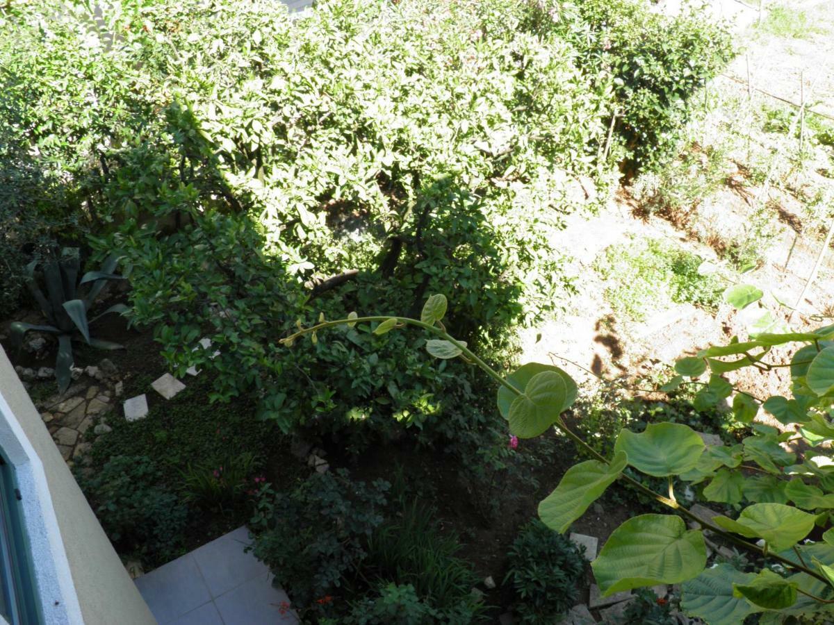 Apartman Mia Biograd Biograd Na Moru Bagian luar foto